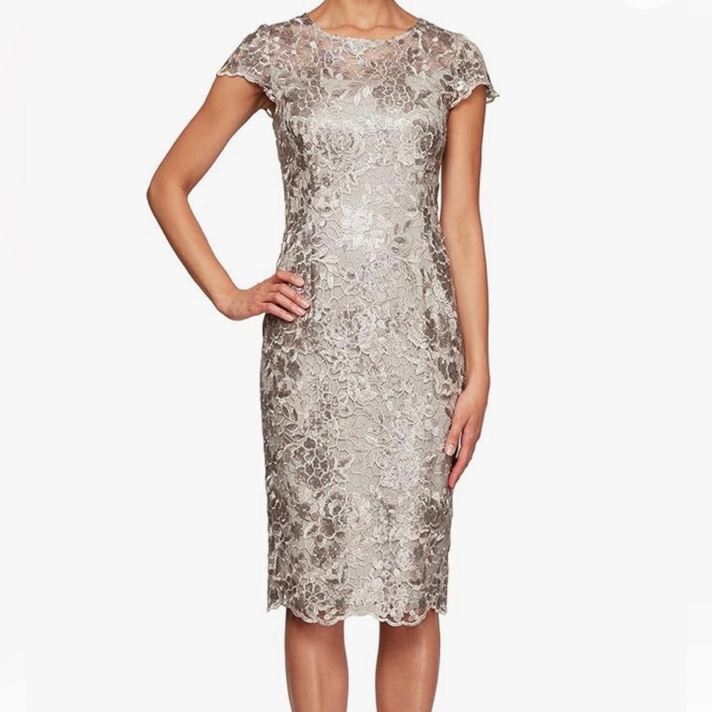 Alex Evenings embroidered sheath dress
